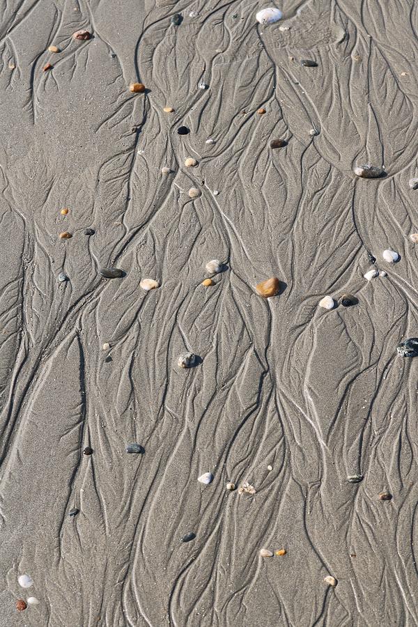 Tidal Patterns Photograph by Michaela Perryman