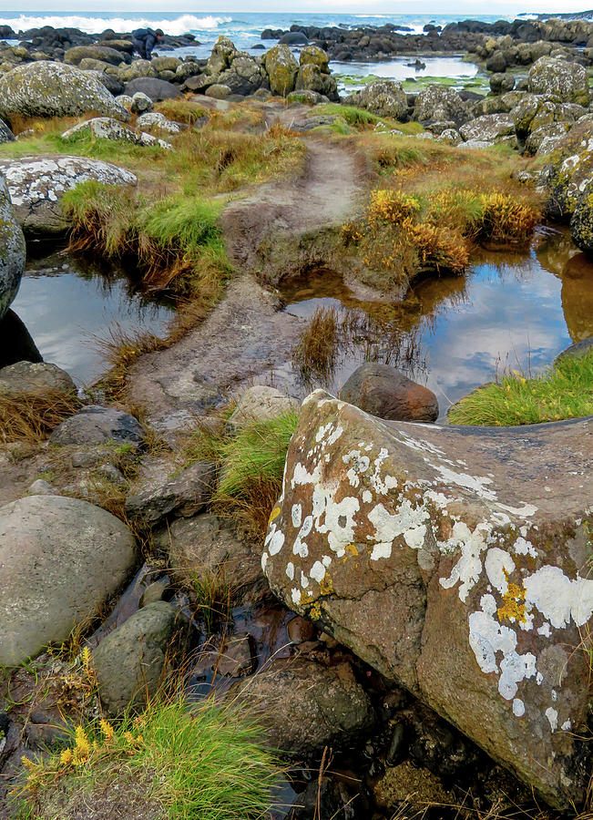 Tidal Pools at Giants Causeway Photograph by Vicky Edgerly