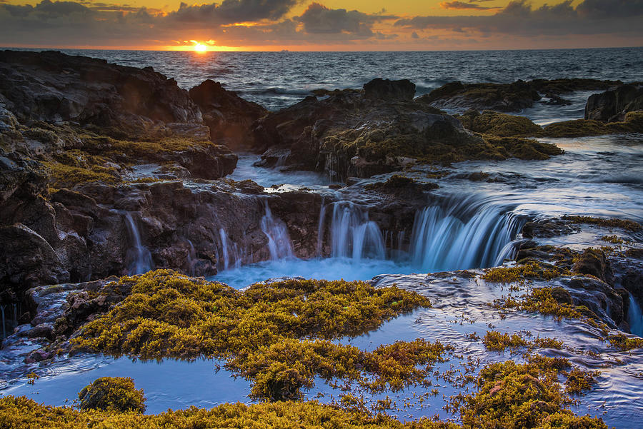 Tidal Pools in Hawaii Photograph by Bill Cubitt