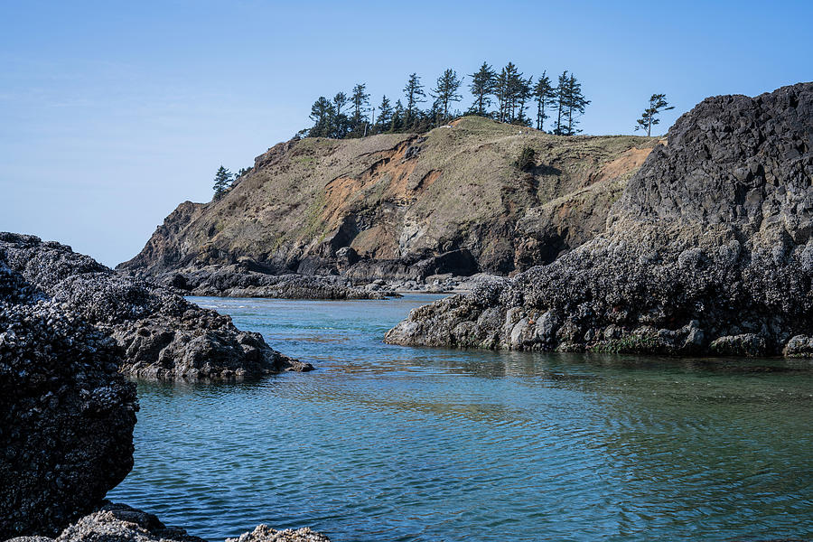 Tide Pools at Crescent Beach Photograph by Robert Potts - Fine Art America