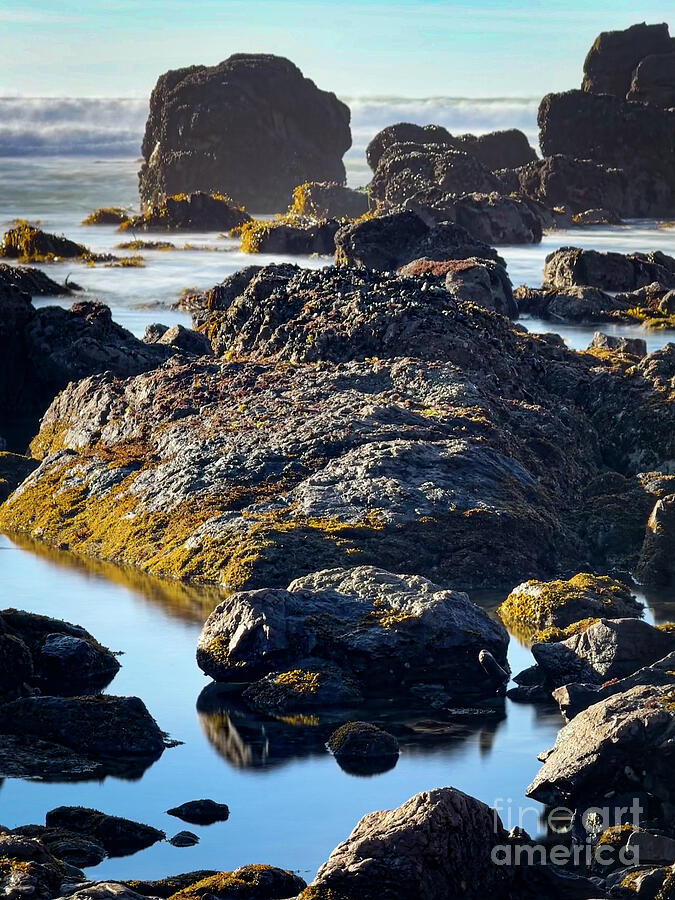 Tide Pools Photograph by Leslie Brashear Tide Pools Photograph by Leslie Brashear