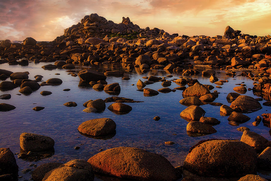 Tide Pools Pacific Grove, California Photograph by Garry Gay