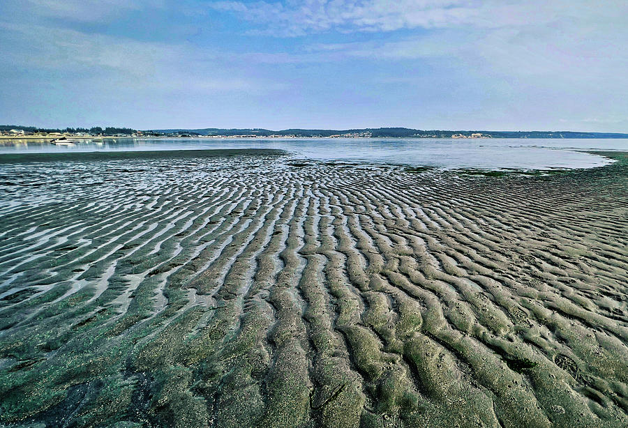 Tide rivulets Photograph by Bradley Morris