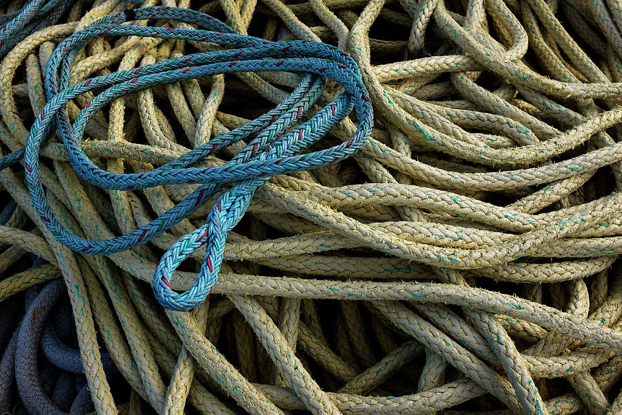 Tie-down Rope Photograph by James David Phenicie
