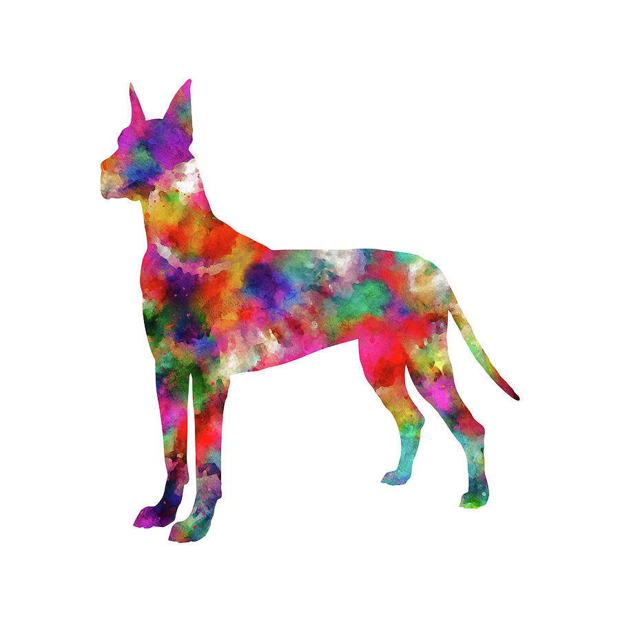 Tie Dye Abstract Great Dane Dog Art Digital Art by Peggy Collins