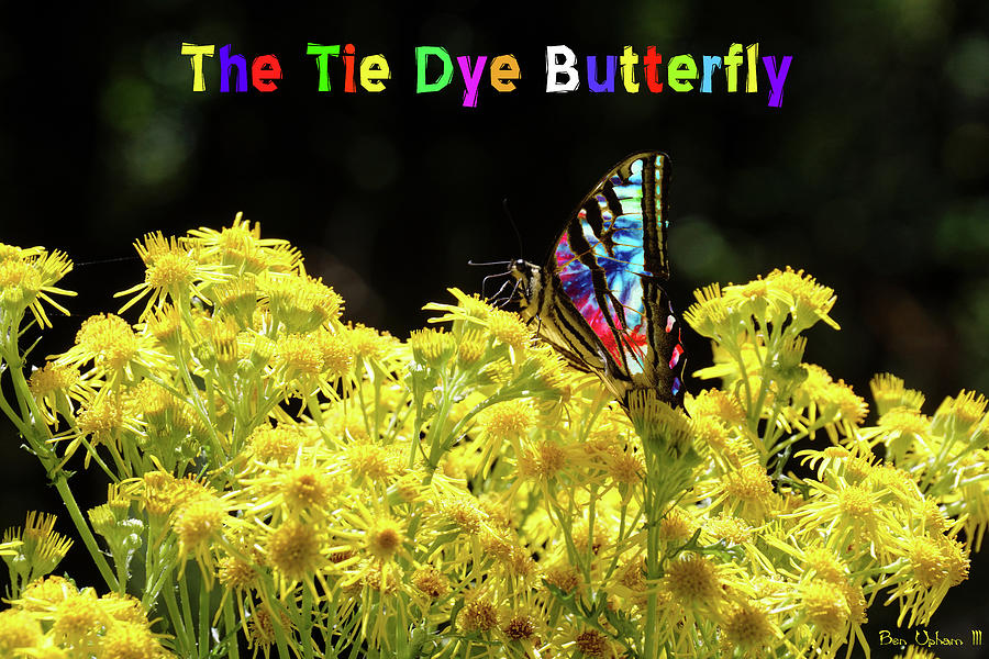 Tie-Dye Butterfly #4 with Text Photograph by Ben Upham III