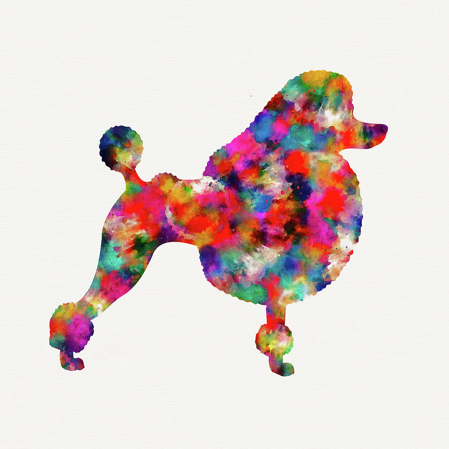 Tie Dye Poodle Digital Art by Peggy Collins