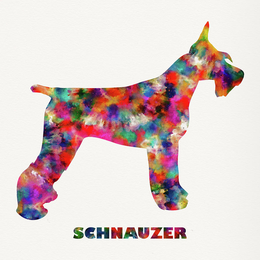 Tie Dye Schnauzer Dog Art Digital Art by Peggy Collins