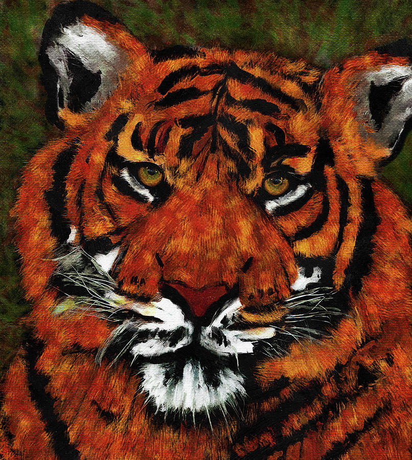 Tiger Art Digital Art by Peggy Collins