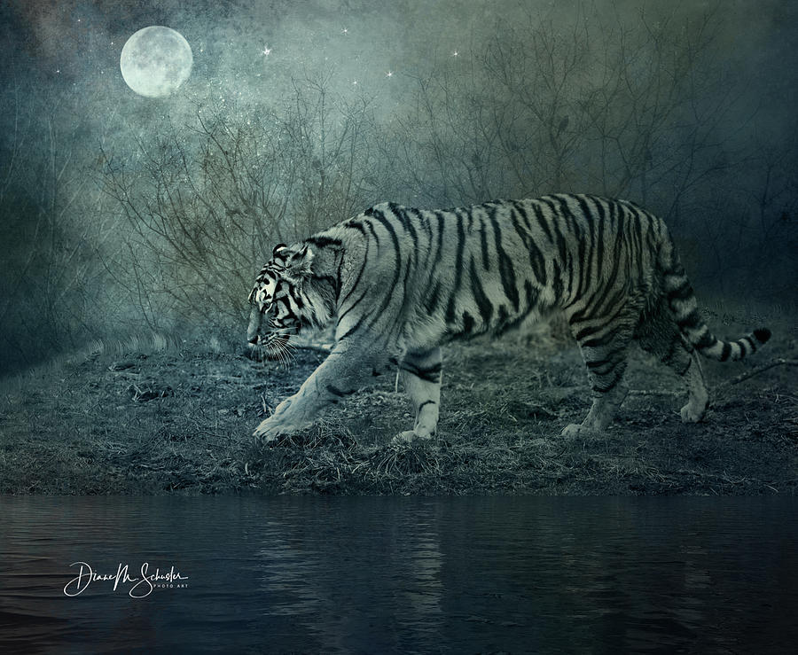 Tiger At The Watering Hole Digital Art by Diane Schuster