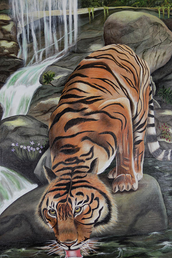 Tiger At Waterfall Painting By Avid Crichlow Fine Art America