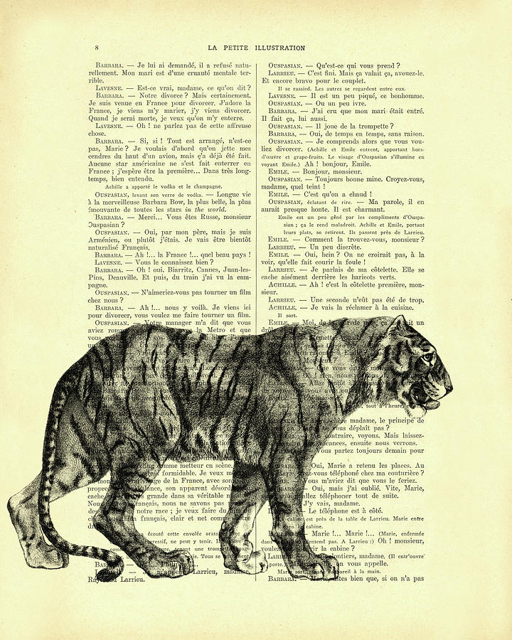 Tiger Digital Art - Tiger black and white illustration by Madame Memento