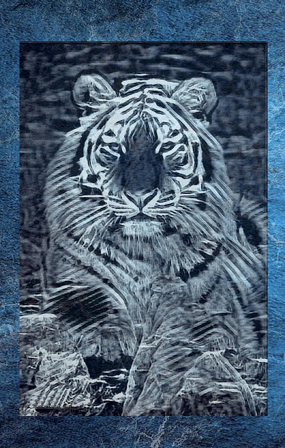 Tiger By Rock Digital Art by Steven Parker
