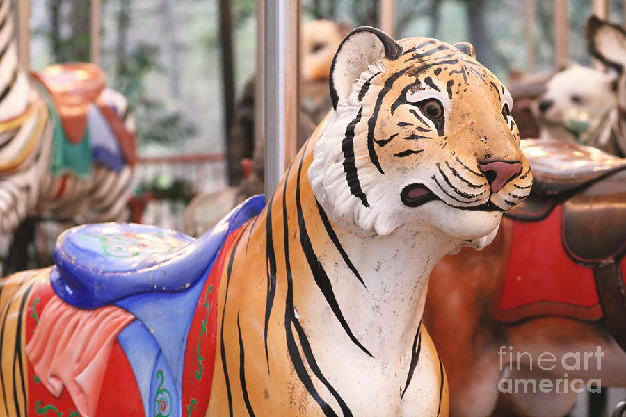 Salk & Holley ride a tiger carousel 