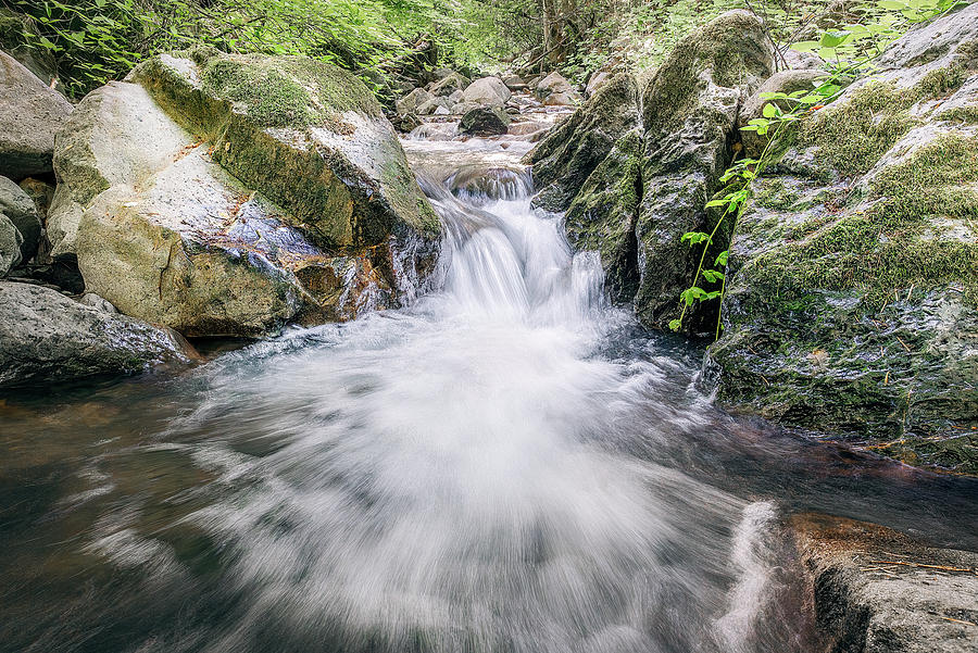 Tiger Creek Mini Waterfall Photograph by Gary Geddes