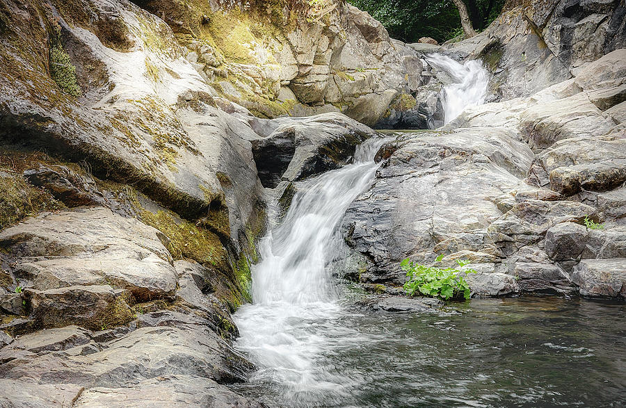 Tiger Creek  Upper Waterfall Photograph by Gary Geddes