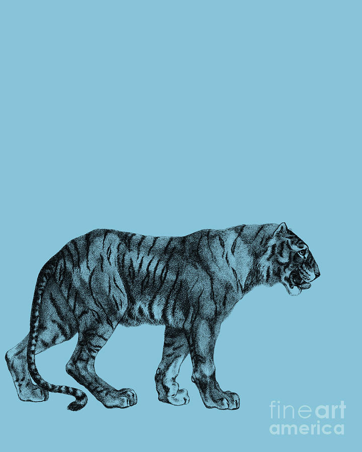 Wildlife Digital Art - Tiger Decor by Madame Memento