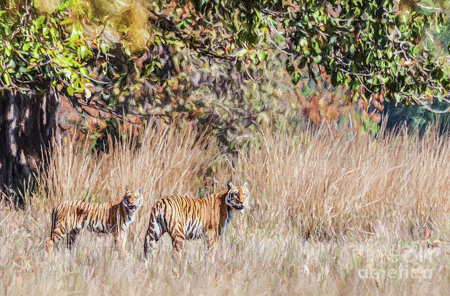  Tiger Digital Art - Tigress and cub Kanha National Park India Digital Art by Liz Leyden