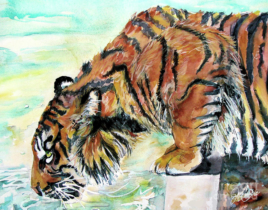 Tiger Drinking By Jen Callahan Painting By Jennifer Callahan - Fine Art 