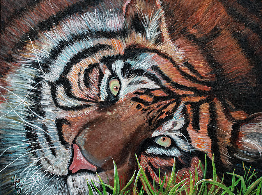 Tiger Eyes Painting by Mark Ray