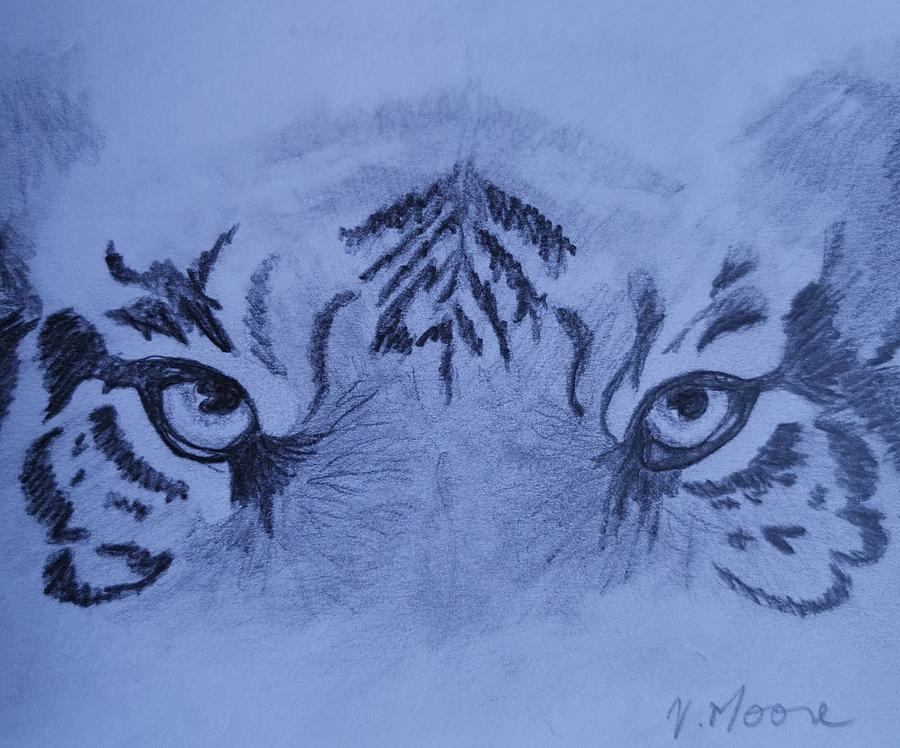 Tiger Eyes Drawing