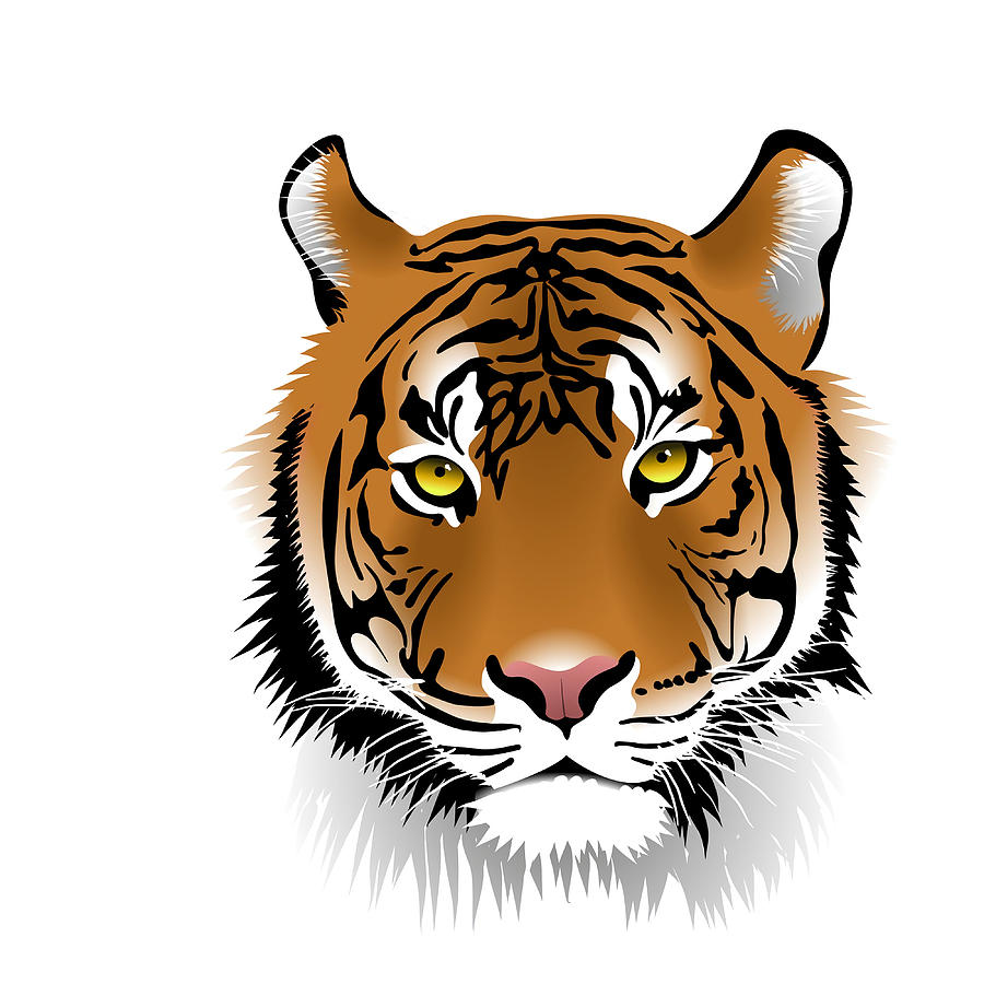 Tiger Face Poster Painting by Steve Palmer - Pixels