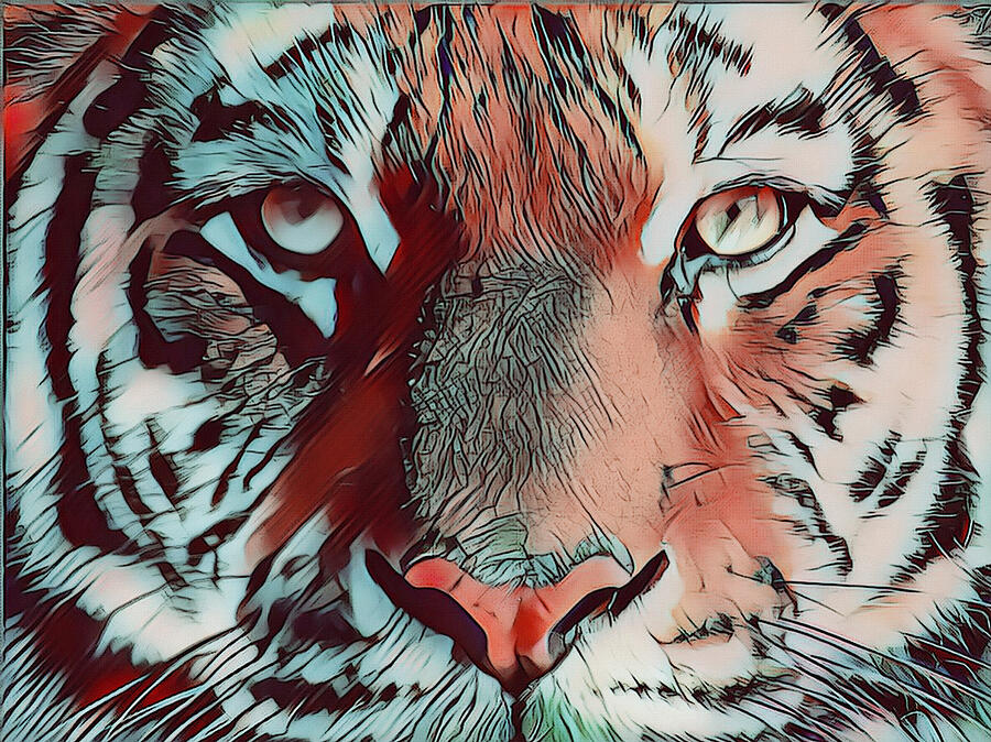 Tiger Face Wildlife Pop Art  Mixed Media by Shelli Fitzpatrick