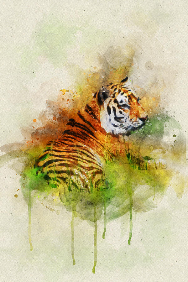 Tiger Digital Art by Geir Rosset