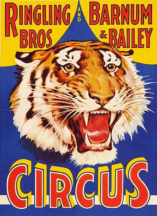 TIGER Growl Circus Poster Ringling Bros Circus Animal Vintage Poster ...