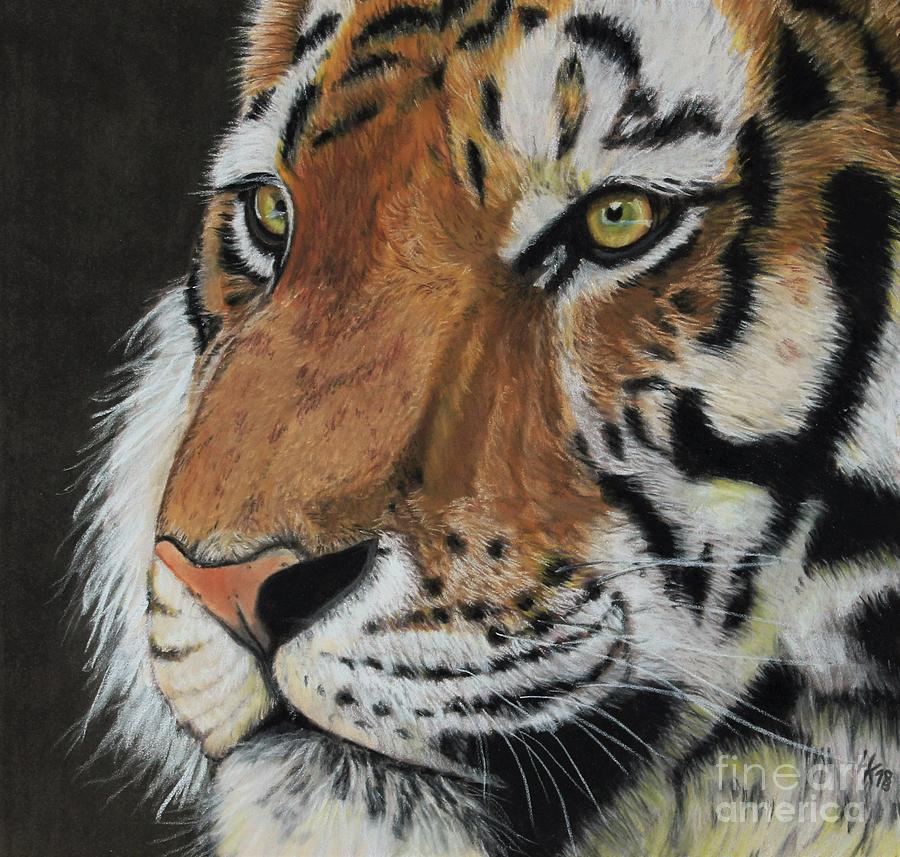 Tiger Pastel by Hannah FineArts - Fine Art America