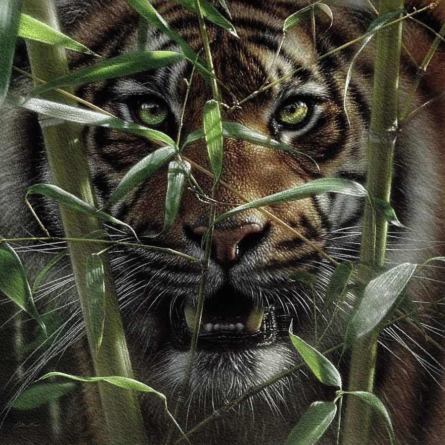 Tiger - Hungry Eyes Painting by Collin Bogle