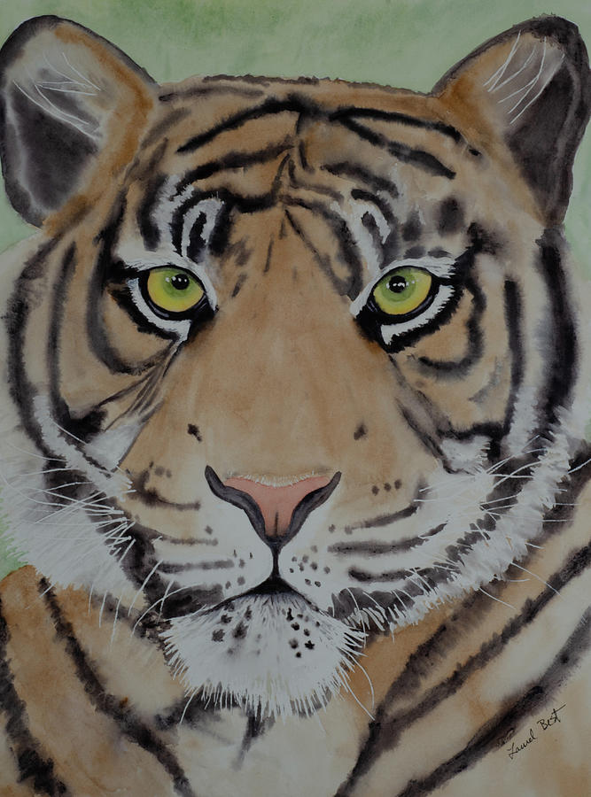 Tiger Painting by Laurel Best