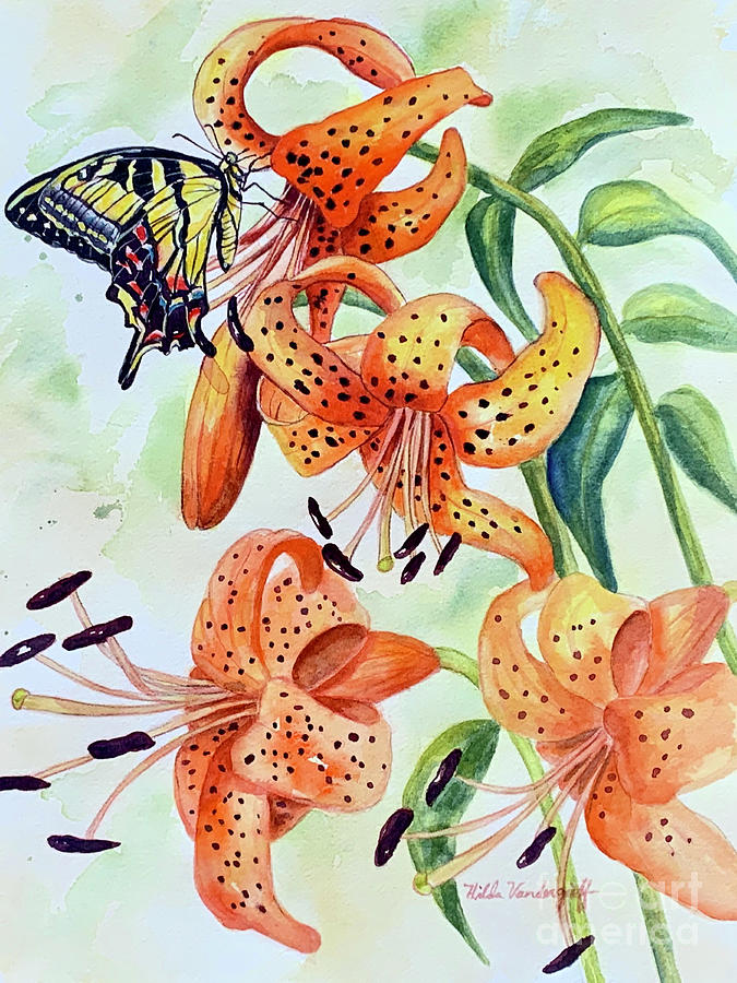 Tiger Lilies and Butterfly Painting by Hilda Vandergriff