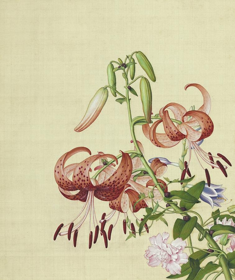 Tiger lilies and winding peonies - Chinese flower paintings Painting by Giuseppe Castiglione Lang Shining
