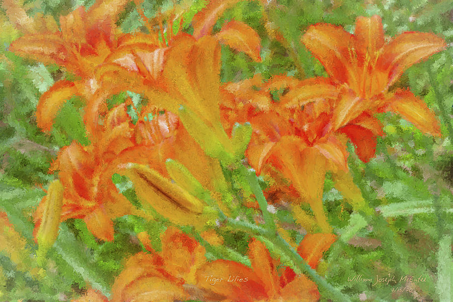 Tiger Lilies Painting by Bill McEntee