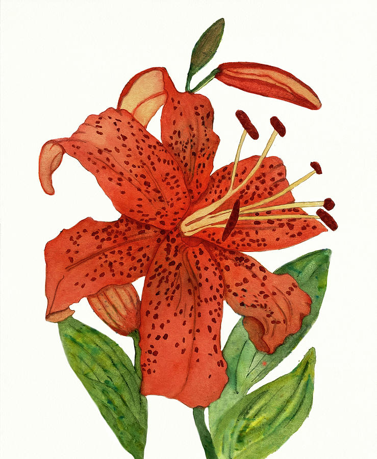 Tiger Lily Painting by Deborah League