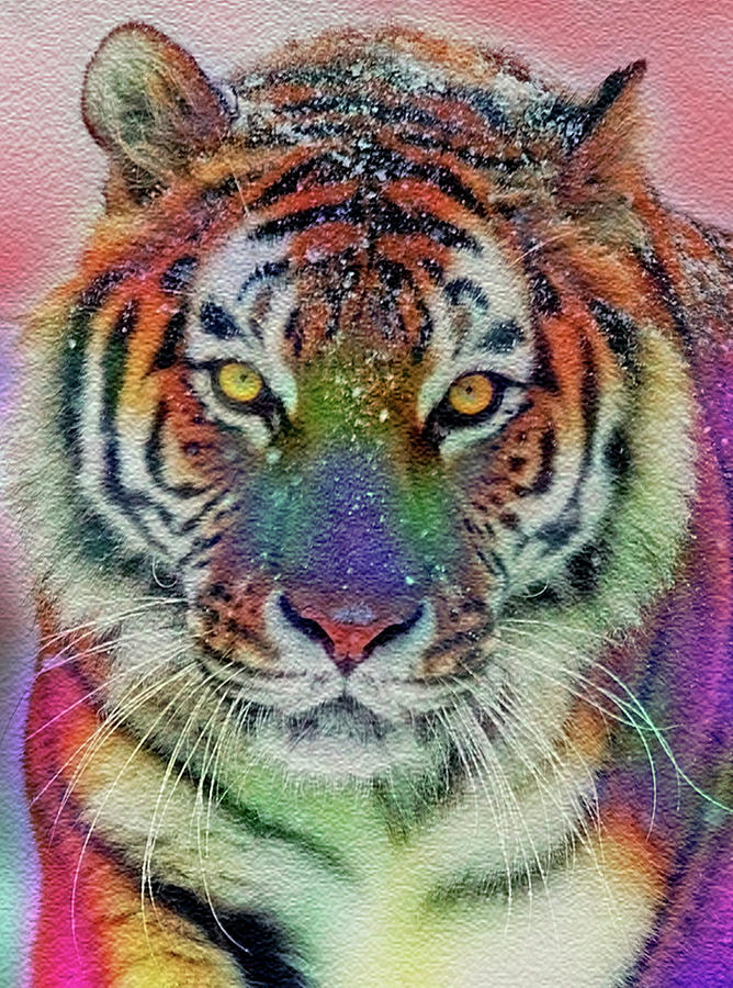 Tiger Mixed Media - Tiger Magic 3 by Julie Grace