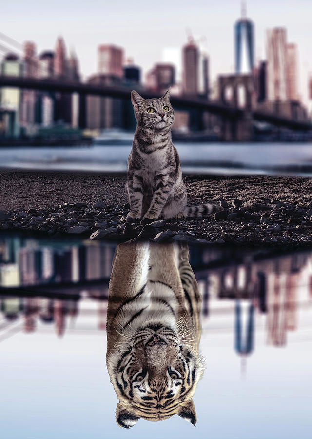 Tiger Mindset - Cat Water Reflection - Success Motivation Digital Art ...