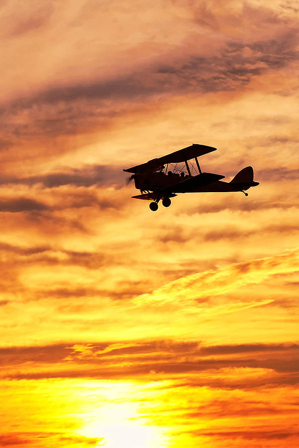 Tiger Moth at Sunset Photograph by Property and Copyright of Juan I. Vera - For decent use only
