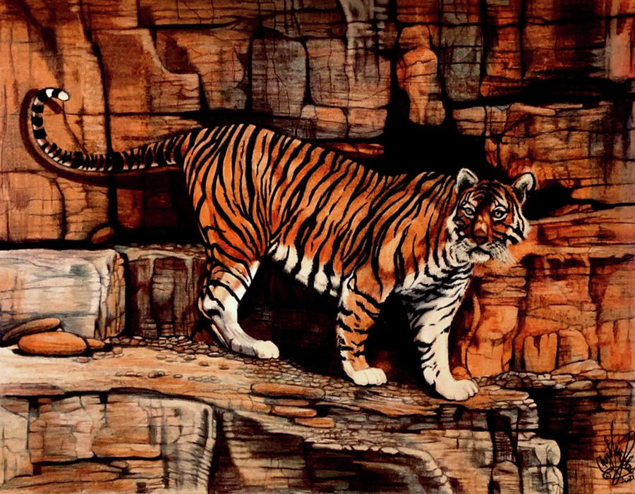 Tiger Mound  #200-32 Drawing