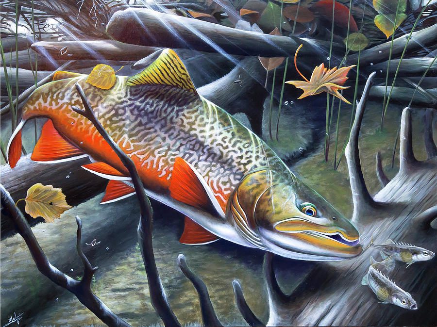 Trout Painting - Tiger on the Prowl by Nick Laferriere
