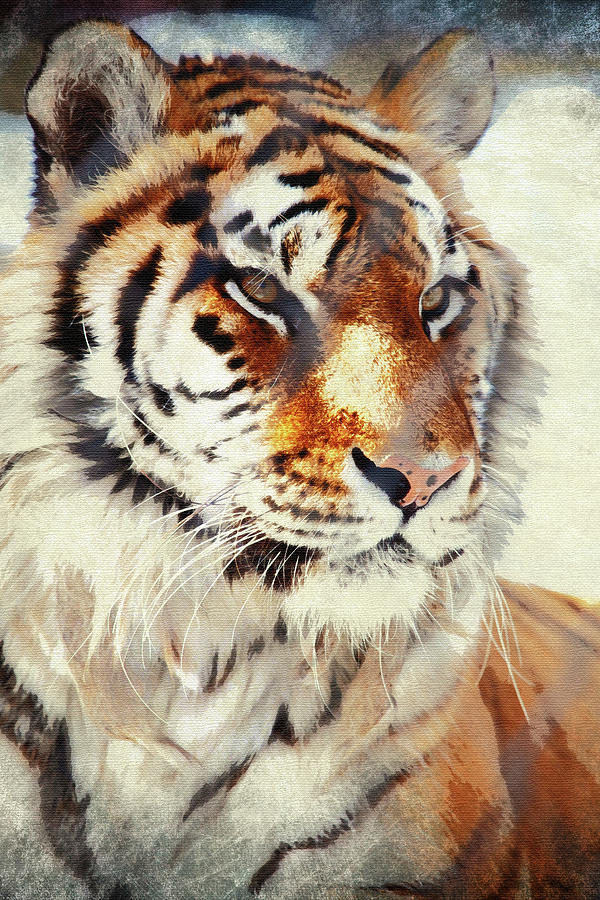 Tiger Painted Photograph by Karol Livote