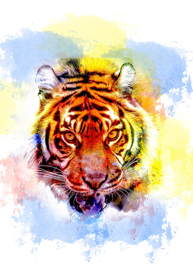 tiger pop art