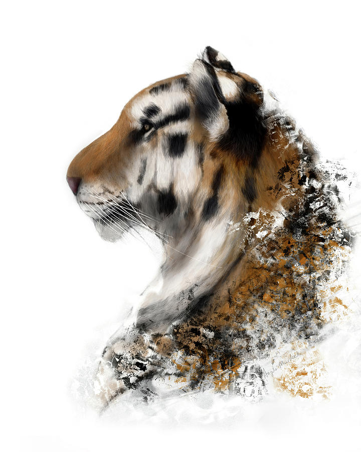 Tiger Portrait Digital Art by Angela Murdock