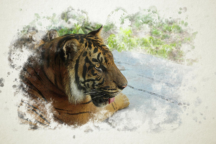 Tiger Portrait with Textures Digital Art by Alison Frank