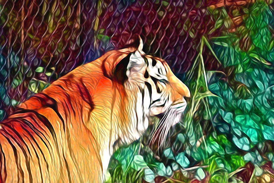 Tiger Profile Photograph by Her Arts Desire