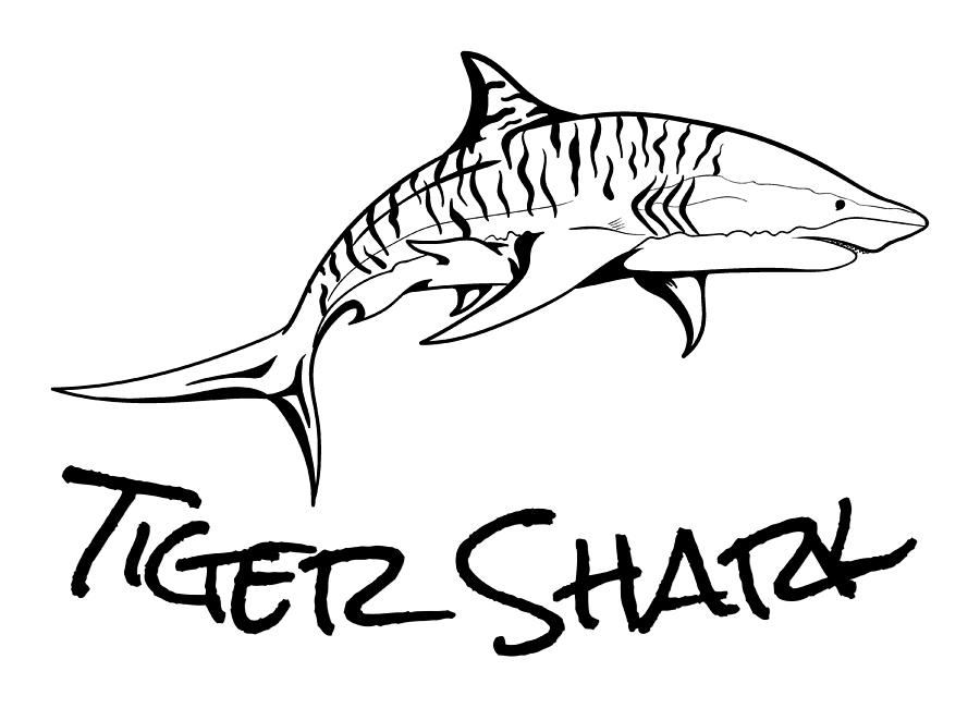 how to draw tiger sharks