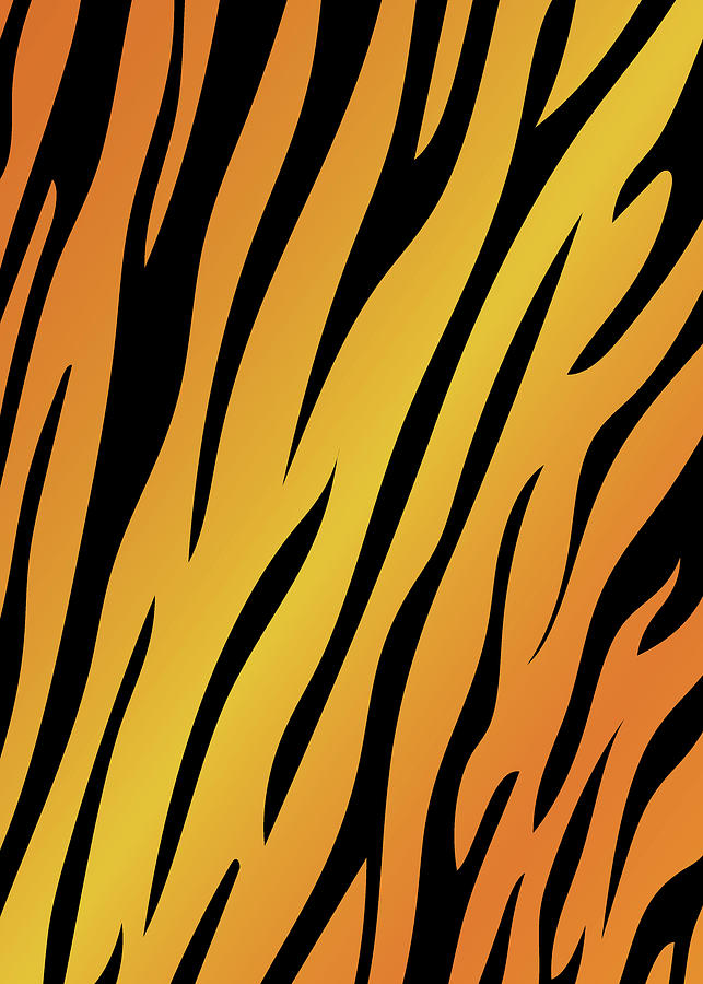 Tiger Stripes Digital Art by Riyad Sbitan - Pixels