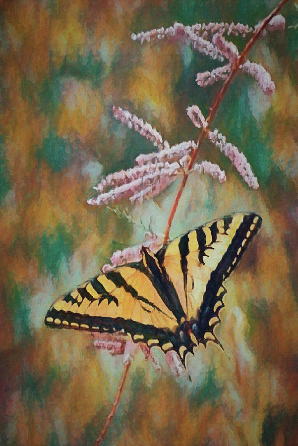 Tiger Swallowtail 2 Digital Art by Ernest Echols