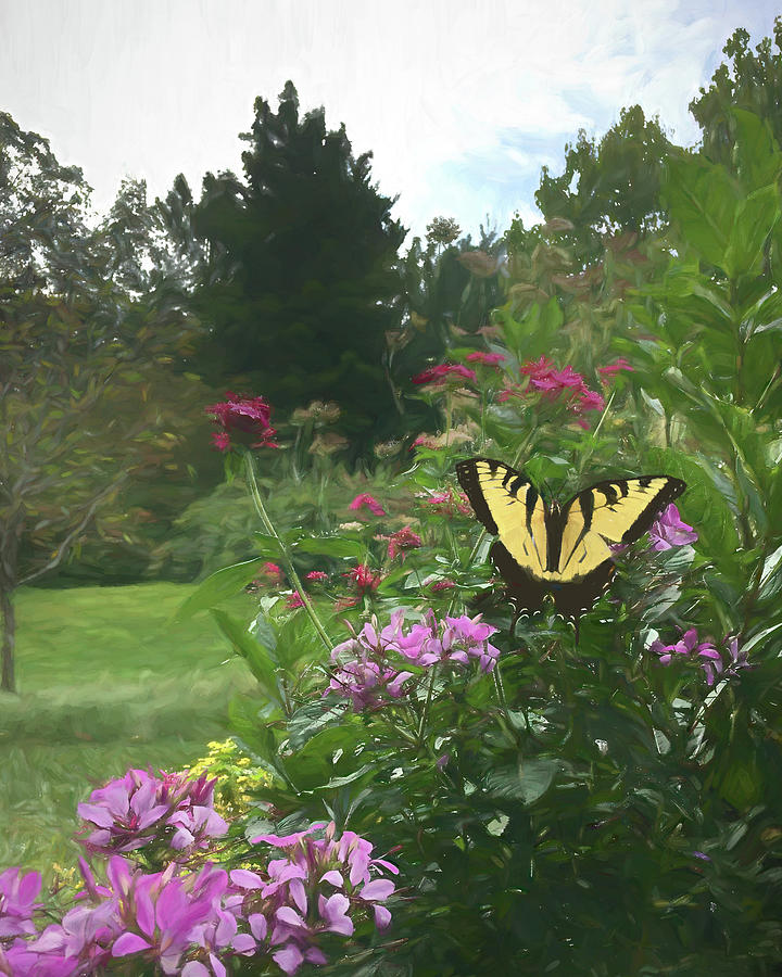 Tiger Swallowtail Butterfly Mixed Media by Deborah League